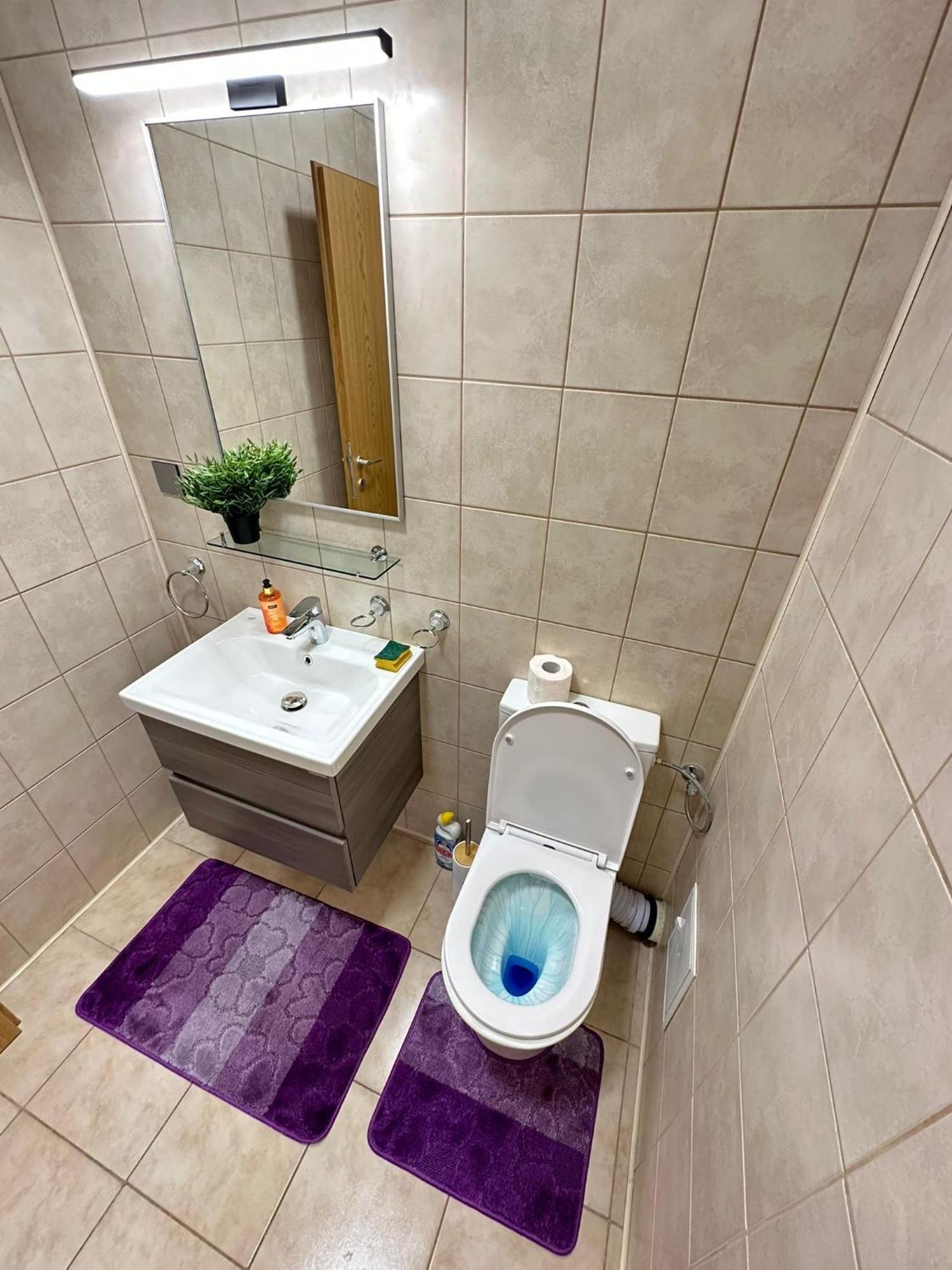 Centru Unirii Luxury Vip Palmier Apartament 2 Camere Cu Terasa Exterioara Amenajata ! Parcare Subterana Privata Climatizata Si Supravegheata Video Dar Doar Cu Rezervare In Limita Locurilor Disponibile !Proprietate In Regim Hoteliep - Nu Are Bucatarie 布加勒斯特 外观 照片