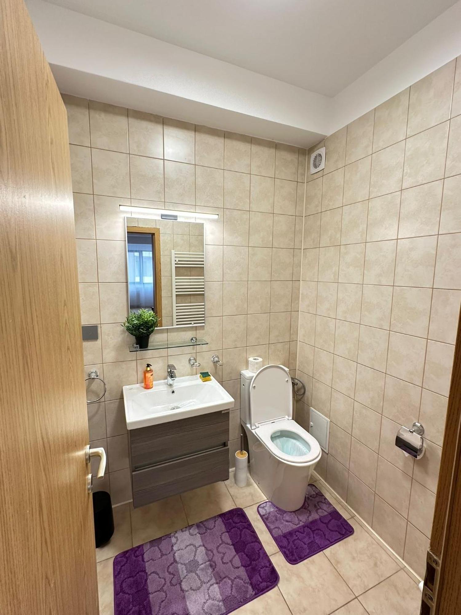 Centru Unirii Luxury Vip Palmier Apartament 2 Camere Cu Terasa Exterioara Amenajata ! Parcare Subterana Privata Climatizata Si Supravegheata Video Dar Doar Cu Rezervare In Limita Locurilor Disponibile !Proprietate In Regim Hoteliep - Nu Are Bucatarie 布加勒斯特 外观 照片